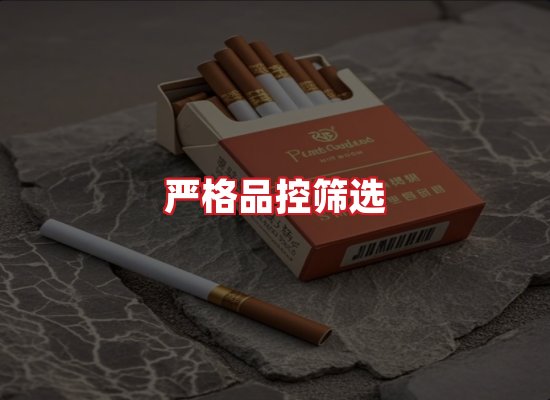 专业团队